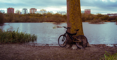Bike in salburua spain
