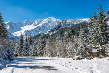 winter in Slovakia Tatra mountains. peaks and trees covered in snow