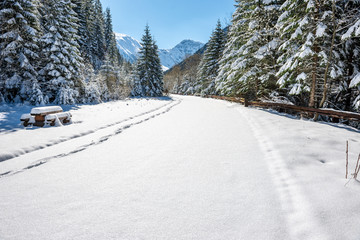 Fototapeta na wymiar winter in Slovakia Tatra mountains. peaks and trees covered in snow