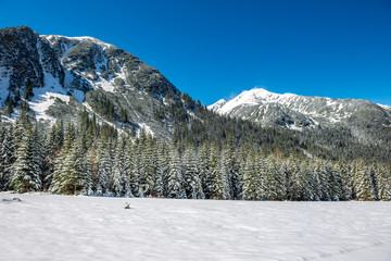 winter in Slovakia Tatra mountains. peaks and trees covered in snow