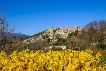 Vue panoramique sur le village de Lurs, au printemps. Fleurs de Forsythia au premier plan. 