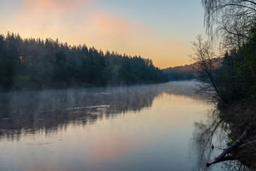 beautiful misty morning on the natural forest river Gauja in Latvia