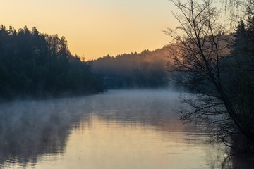 beautiful misty morning on the natural forest river Gauja in Latvia