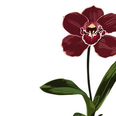 Tropical exotic burgundy orchid flower plant, elegant card template. Small floral garland.