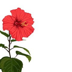 Tropical exotic red hibiscus flower branch, elegant card template. Small floral garland.