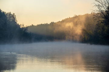 beautiful misty morning on the natural forest river Gauja in Latvia