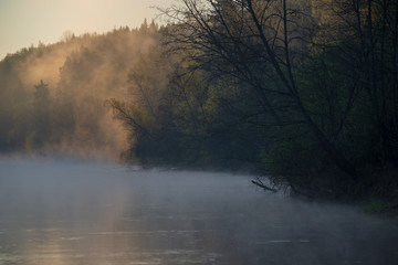 beautiful misty morning on the natural forest river Gauja in Latvia