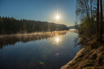 Obraz premium beautiful misty morning on the natural forest river Gauja in Latvia