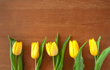 Żółte tulipany na tle brązowych desek