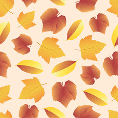 Vector hand drawn seamless pattern with colorful autumn leaves -04