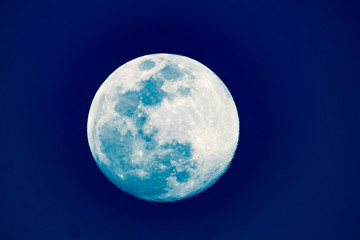 BLUE MOON