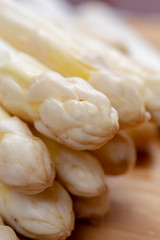 New harvest of white asparagus vegetable in spring season , washed white asparagus ready to cook, spring menu for restaurants