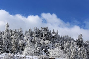 mountain, snow, landscape, mountains, winter, sky, nature, alps, forest, trees, blue, tree, view, cold, clouds, peak, outdoors, ski, travel, yosemite, rock, season, white, scenery, valley