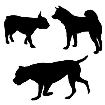 Vector dog illustrations. Set of black silhouettes. Different breeds of dogs -05