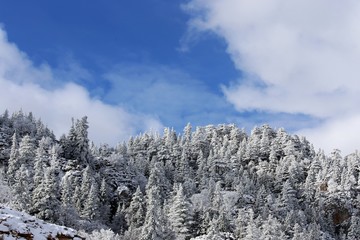 mountain, snow, landscape, mountains, winter, sky, nature, alps, forest, trees, blue, tree, view, cold, clouds, peak, outdoors, ski, travel, yosemite, rock, season, white, scenery, valley