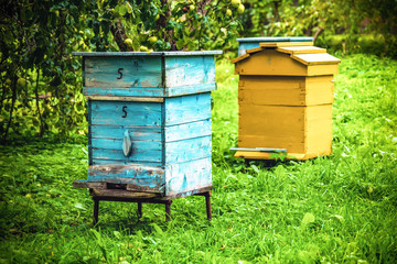 Old wooden honey bee houses