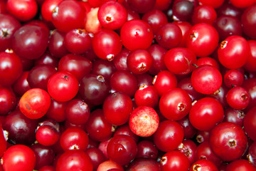 background of ripe red cranberries, vegetarian food