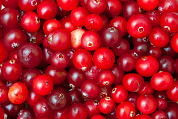 background of ripe red cranberries, vegan food