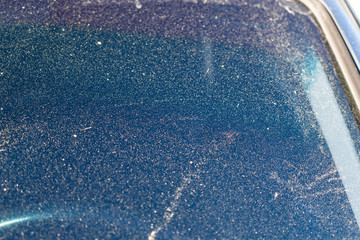 Pollen on the windshield of a car