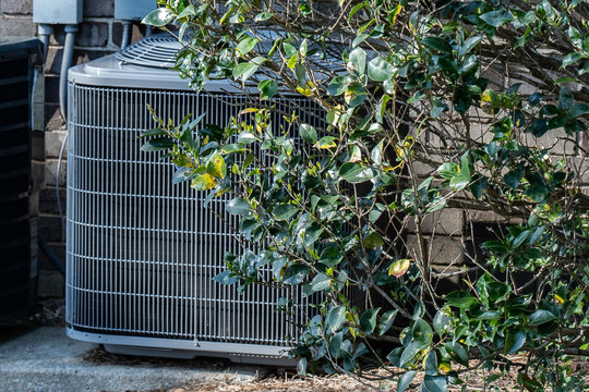 HVAC Unit Concealed By Bush