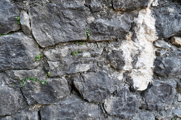 old stone wall with green moss