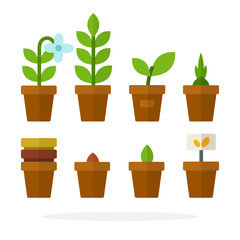 House plants and flowers in pots vector flat isolated