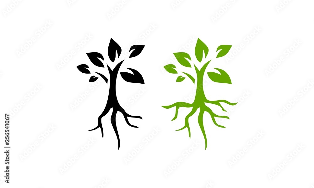 Wall mural root seed plant vector