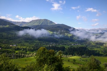 Autumn forest nature. Vivid morning in colorful forest with sun rays through branches of trees. Scenery of nature with sunlight.savsat/artvin/turkey