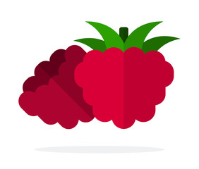 Two raspberry berries vector flat isolated