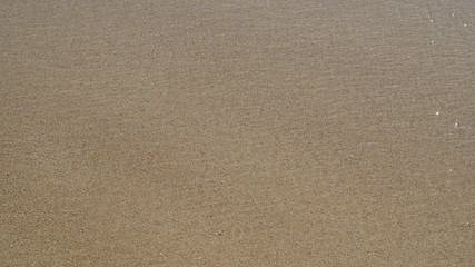 Tropical beach shoreline background.