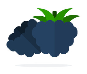Blackberry berries with leaves vector flat isolated