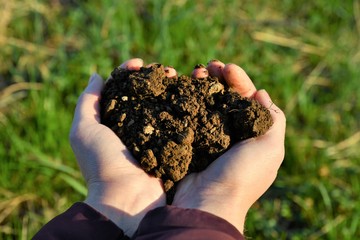 heart soil on the palms