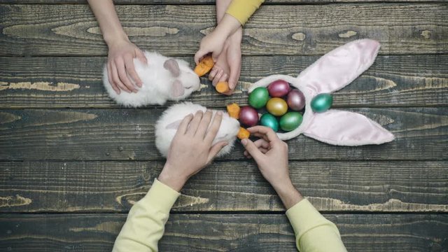 Easter hare and eggs on a wooden table. Happy easter. Close-up of the hands that feed Easter rabbits. Feed animals with carrots. Family preparing for Easter.