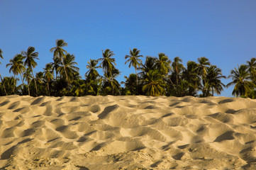 Praia em São Miguel do Gostoso, RN.foto Ricardo Benichio