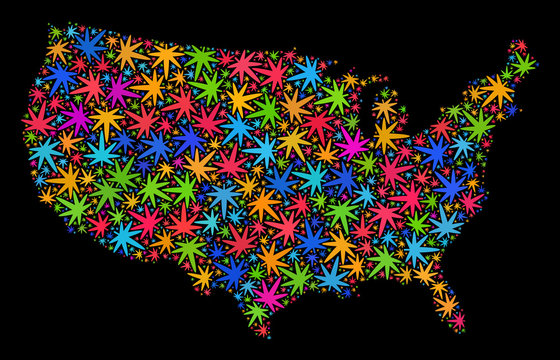 Bright vector marijuana United States map mosaic on a black background. Template with bright herbal leaves for marijuana legalize campaign. Vector United States map is formed with weed leaves.