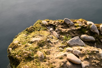 rocky shore of a mountain river with grass and moss