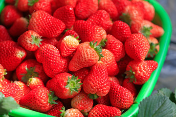 Fresh strawberries, close-up shots
