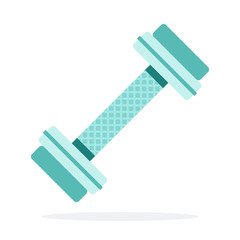 Dumbbell for the gym flat isolated