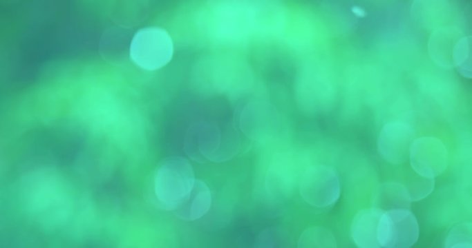 Defocused abstract nature background with green leaves and bokeh lights. Royalty high-quality free stock video footage of natural blurred bokeh background from leaf and tree effects bokeh bubble light