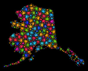 Bright vector cannabis Alaska map mosaic on a black background. Concept with bright herbal leaves for weed legalize campaign. Vector Alaska map is created with weed leaves.