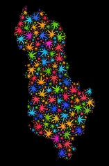 Bright vector cannabis Albania map collage on a black background. Concept with bright herbal leaves for cannabis legalize campaign. Vector Albania map is designed with herbal leaves.