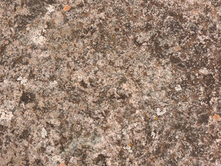 Texturas