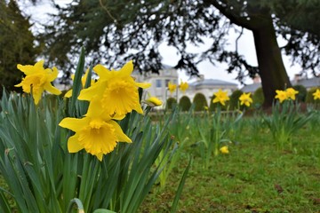 shugborough mansion