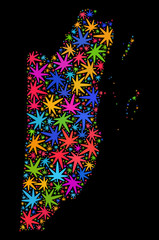 Bright vector cannabis Belize map collage on a black background. Template with psychedelic weed leaves for weed legalize campaign. Vector Belize map is composed with weed leaves.