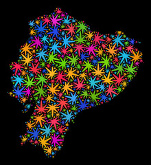 Bright vector marijuana Ecuador map mosaic on a black background. Template with bright herbal leaves for cannabis legalize campaign. Vector Ecuador map is formed from herbal leaves.