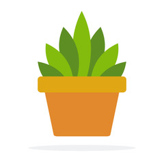 Indoor green plant in a pot vector flat isolated