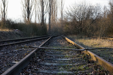 Schienen, Schiene, Alt, Verlassen, Hintergrund, Zug, Fahren 