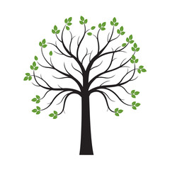Obraz premium Black Tree with Green Leaves on white background. Vector Illustration.