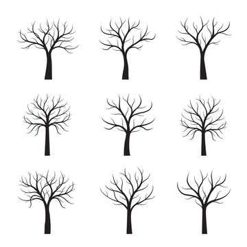 Set of Black Neked Trees. Vector Illustration.