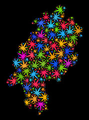 Bright vector marijuana Hesse Land map collage on a black background. Concept with colored herbal leaves for marijuana legalize campaign. Vector Hesse Land map is designed with marijuana leaves.